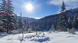 cool winter celebrities